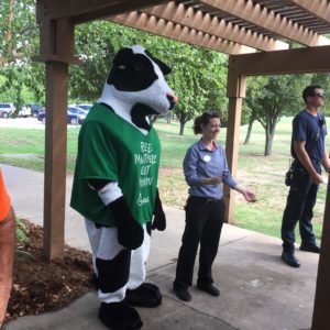 The Chik-Fil-A cow