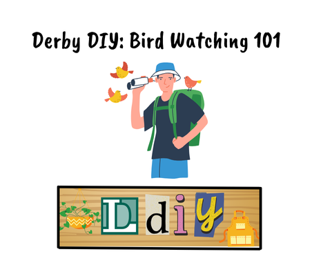 Derby DIY: Bird Watching 101