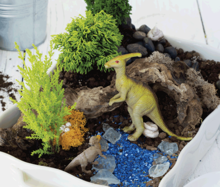 Dinosaur Terrariums